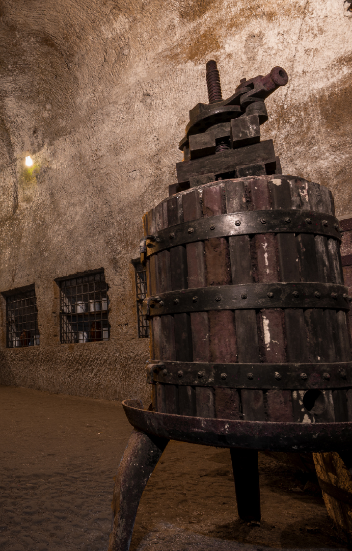 vinotufello